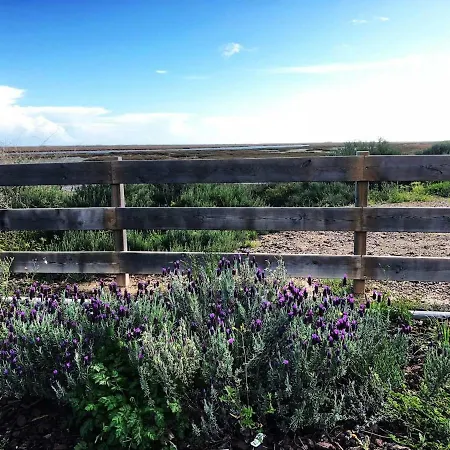 Vila Pedras D'el Rei - Garden View
